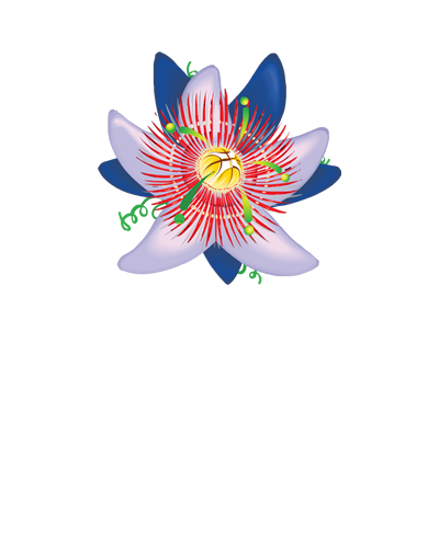 Sudamericano 2025